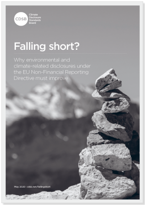 Falling short? Why environmental and climate-related disclosures under the EU Non-Financial Reporting  Directive must improve
