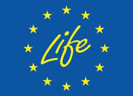 Life FinAction logo